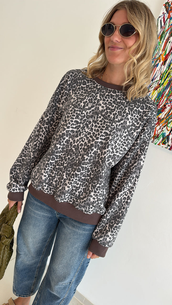 Pullover - Grau/Braun
